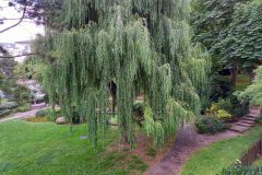 20210712_174207-scaled