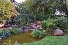 20210712_175745-scaled